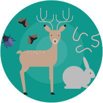 Scenarios icon