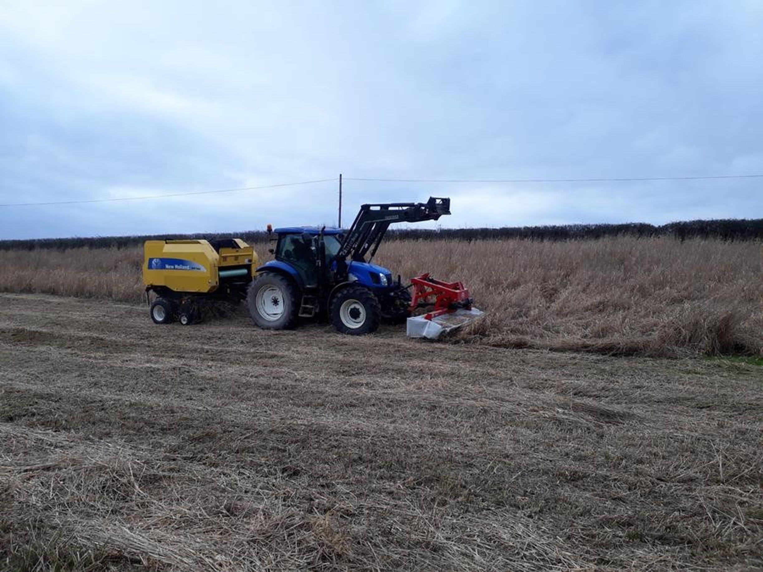 Harvesting