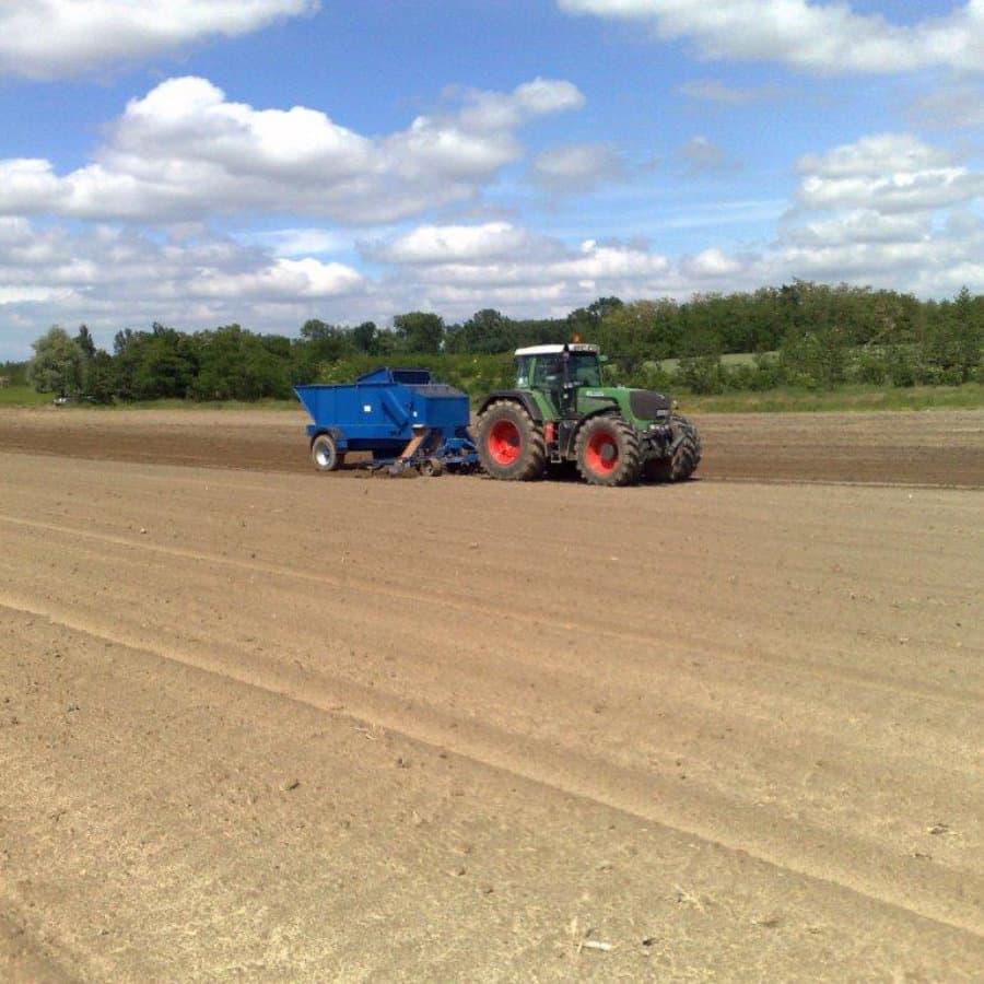 Planting