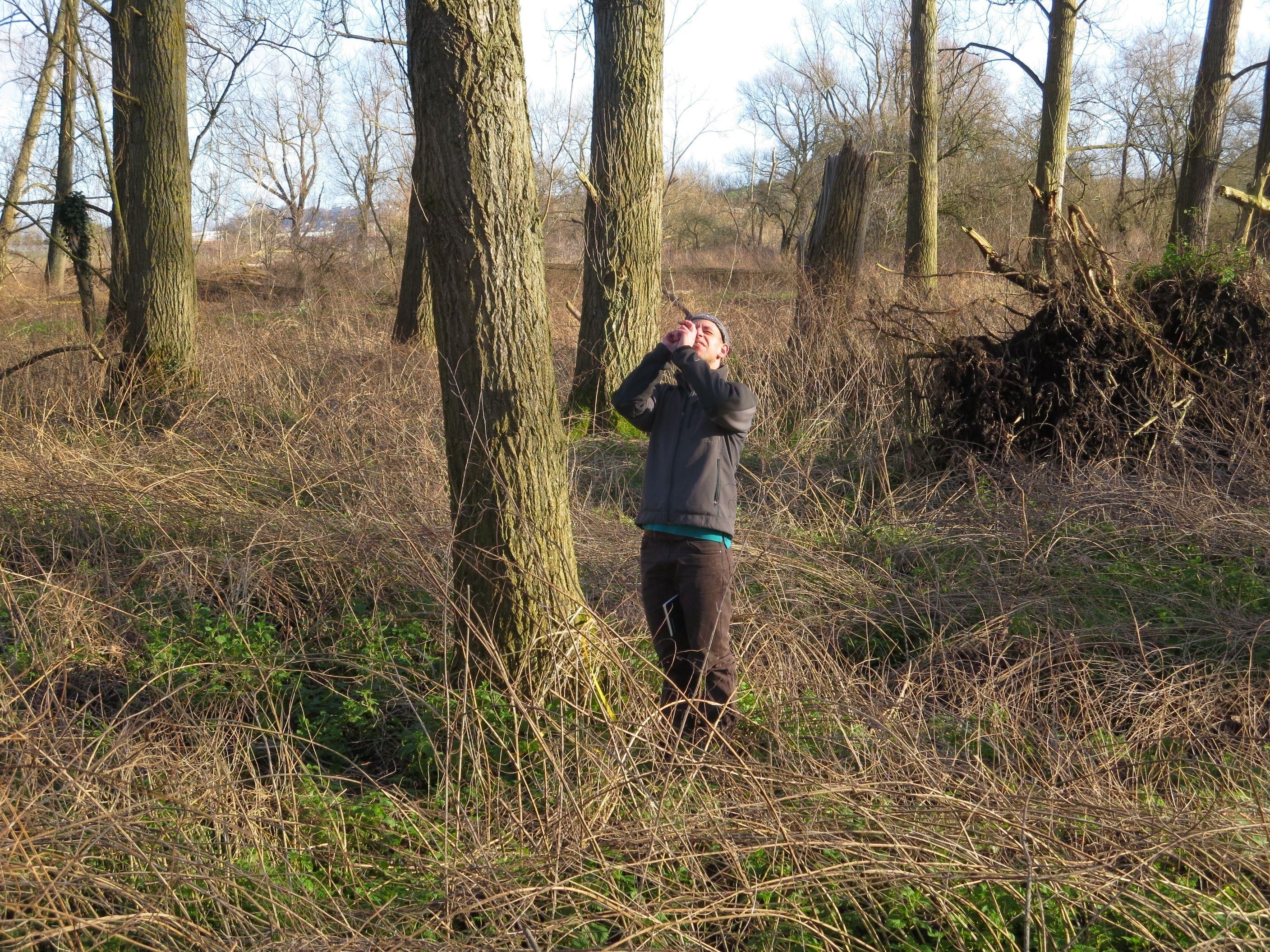 Surveying/Site visits