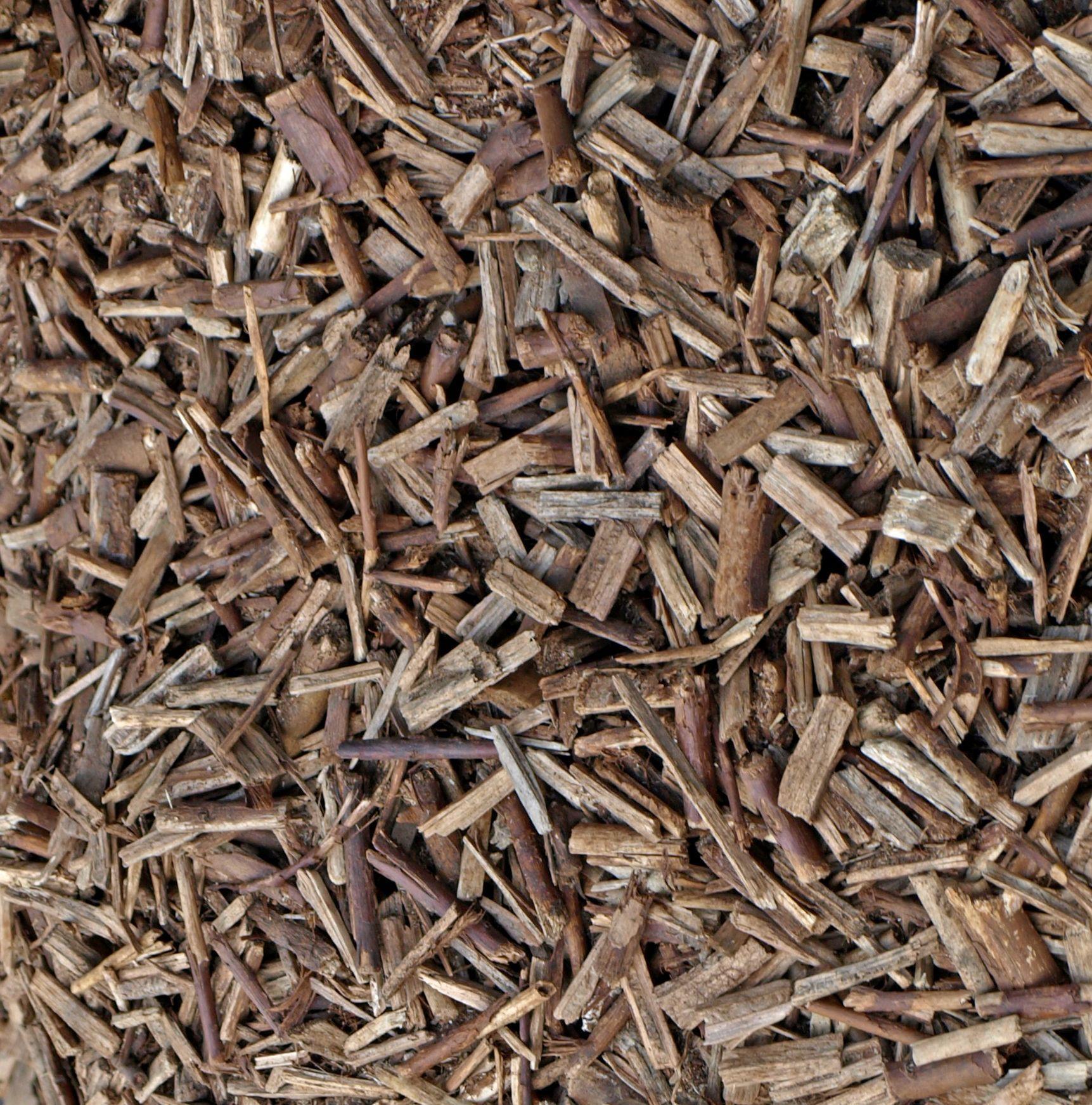 6618963503_56a7095a73_c_9c7375b46b