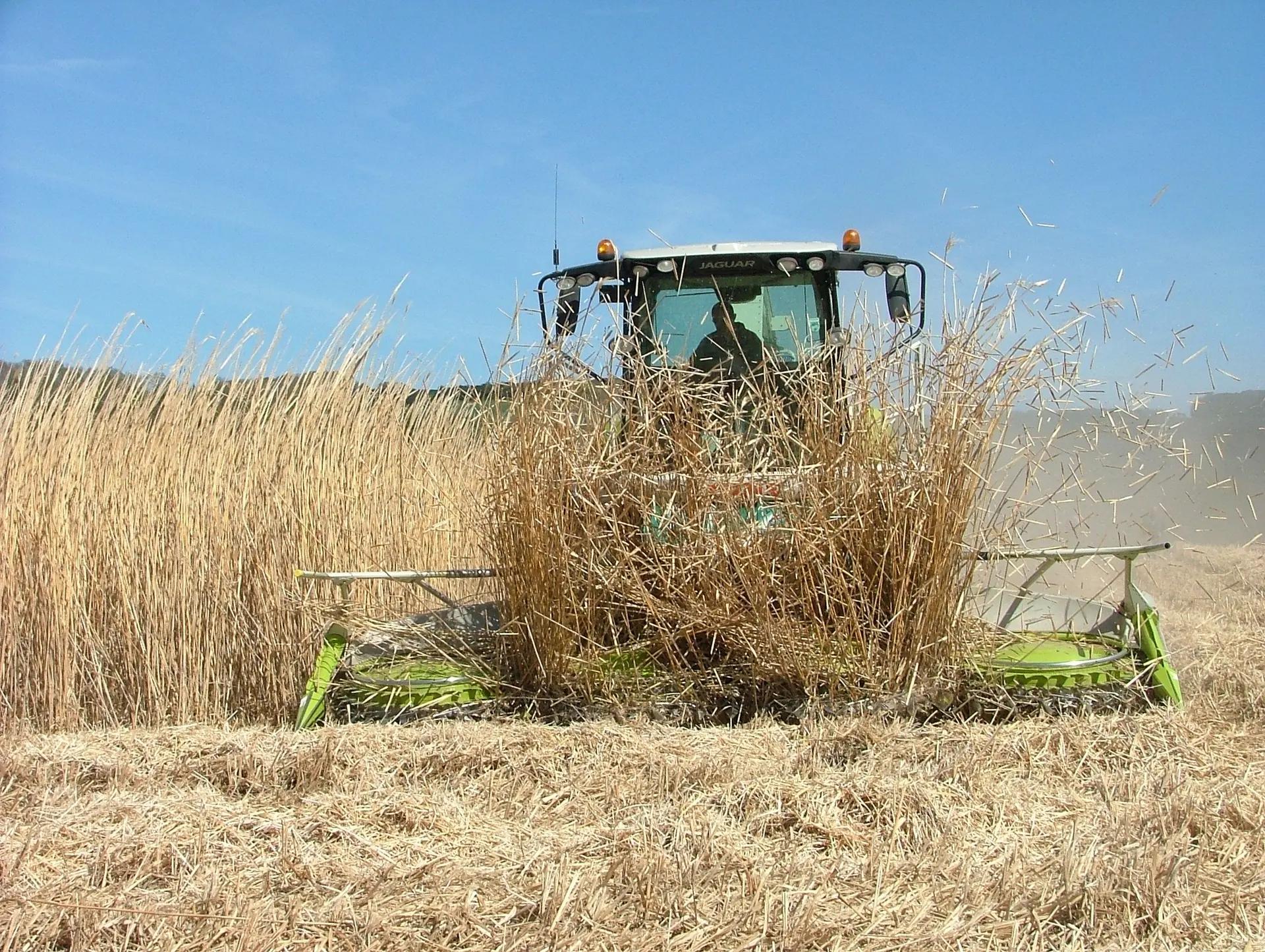 Poster_Harvester_002_Michael_Cooper_39f8000617