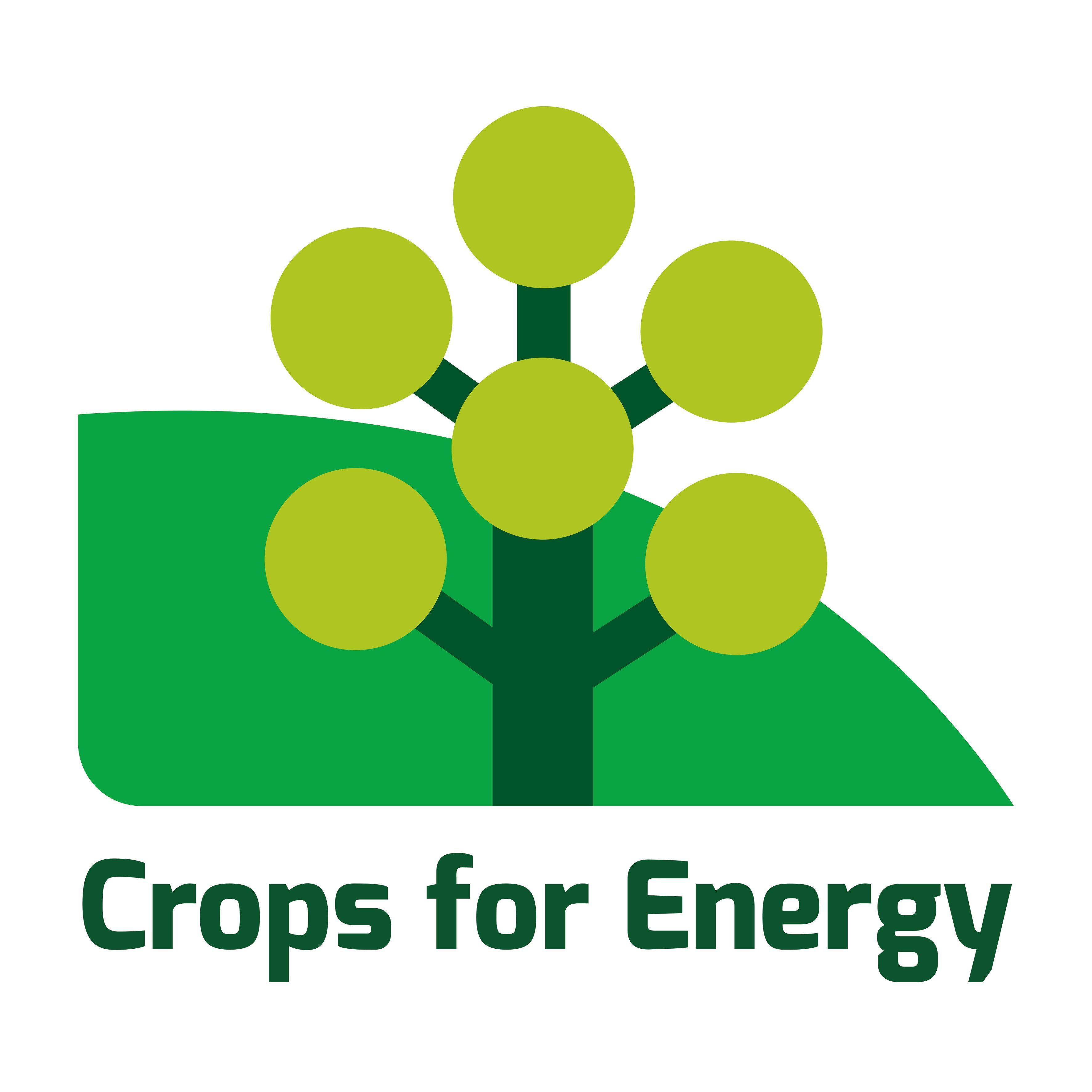 crops for energy new logo v2 - Kevin Lindegaard (1)